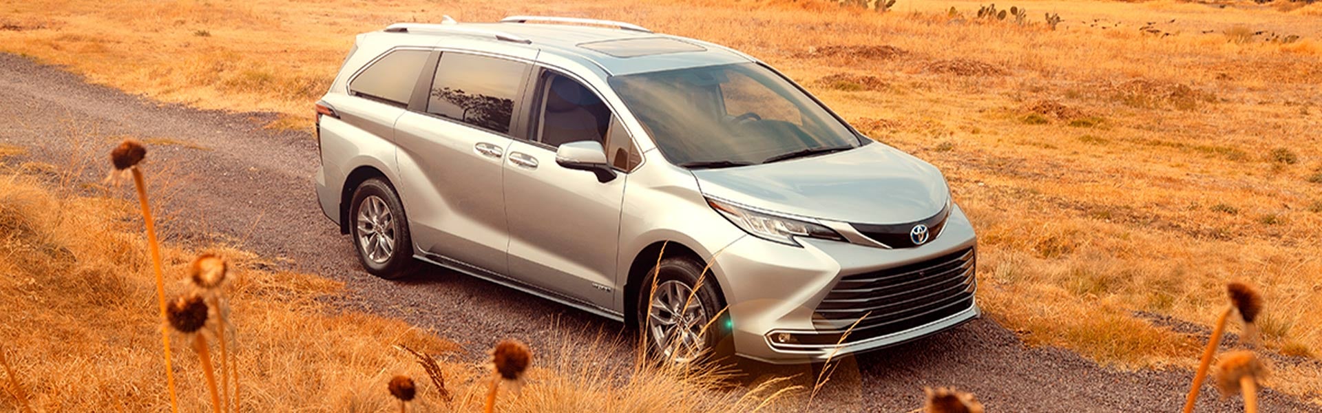 Toyota Chetumal in Chetumal Quintana Roo