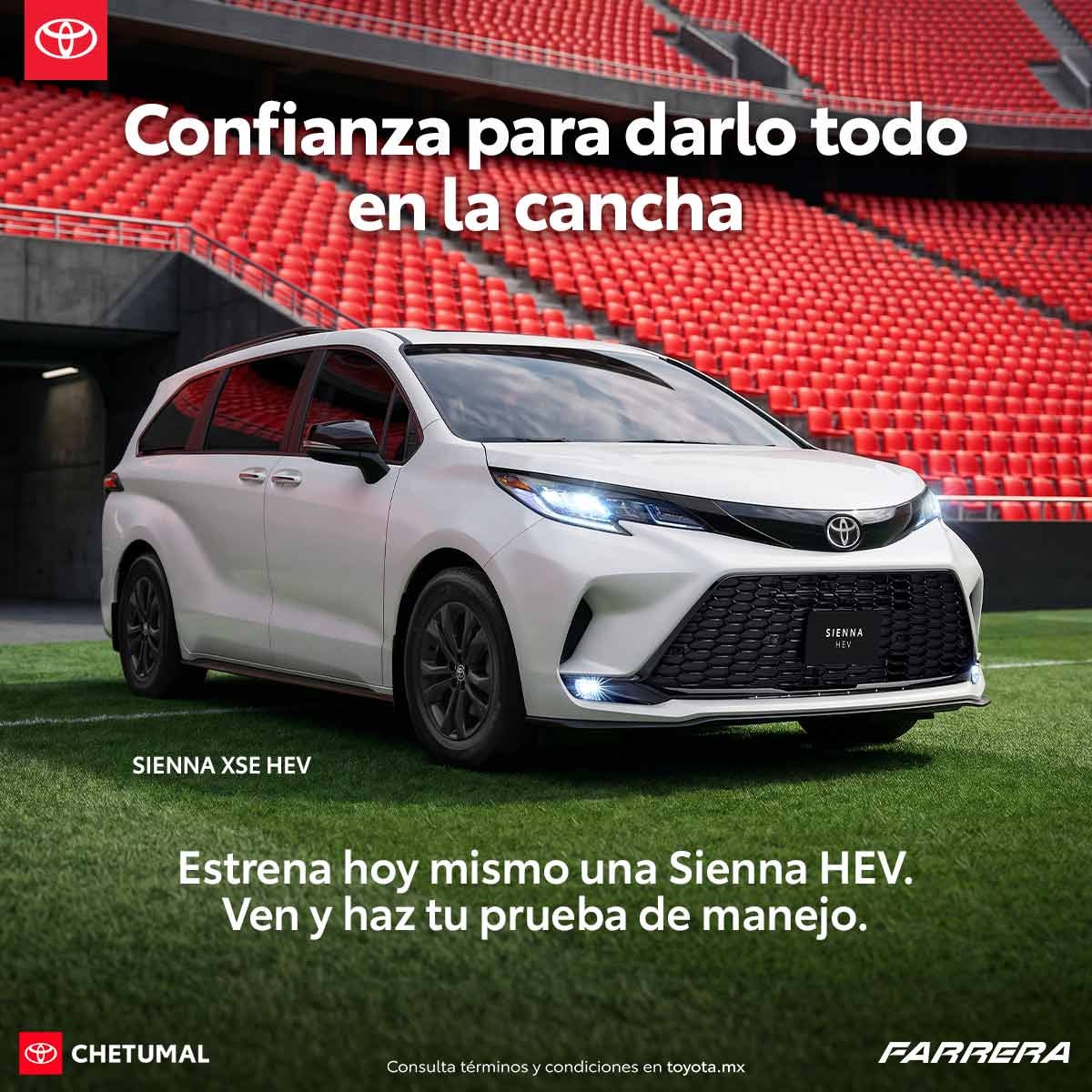 Sienna HEV.