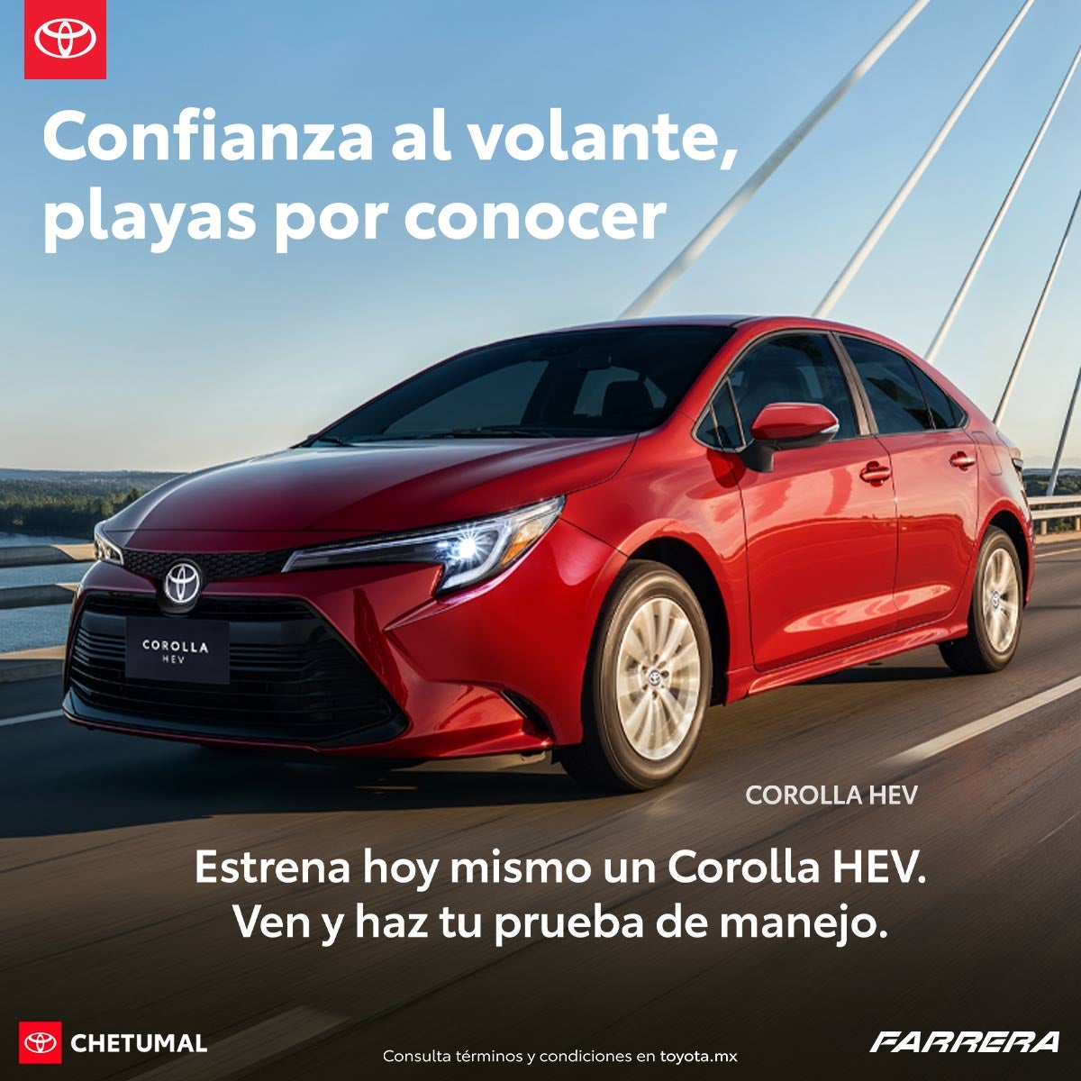 Corolla hev 