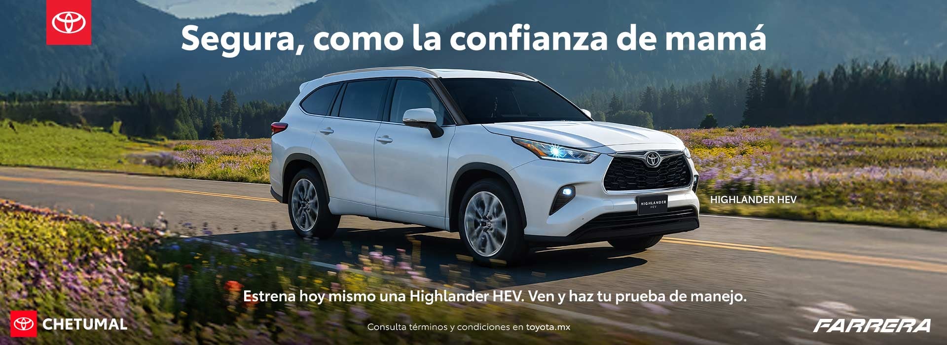 HIGHLANDER